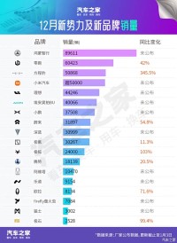 2025年销量快报：新势力第一梯队大洗牌 两大品牌增速超300%